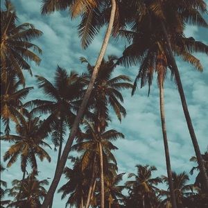 Meet your Posher, Tori